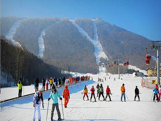 哈尔滨、亚布力VIP5S滑雪-雪乡林海穿越、长白山天池、吉林观雾凇、查干湖冬捕双卧8日